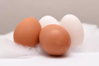 Freiland Eier
