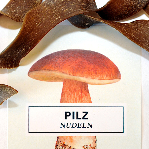 Pilz Nudeln